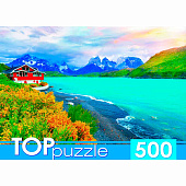Пазлы Чили Патагония TOPpuzzle 500 элементов Рыжий кот ШТТП500-2709  1